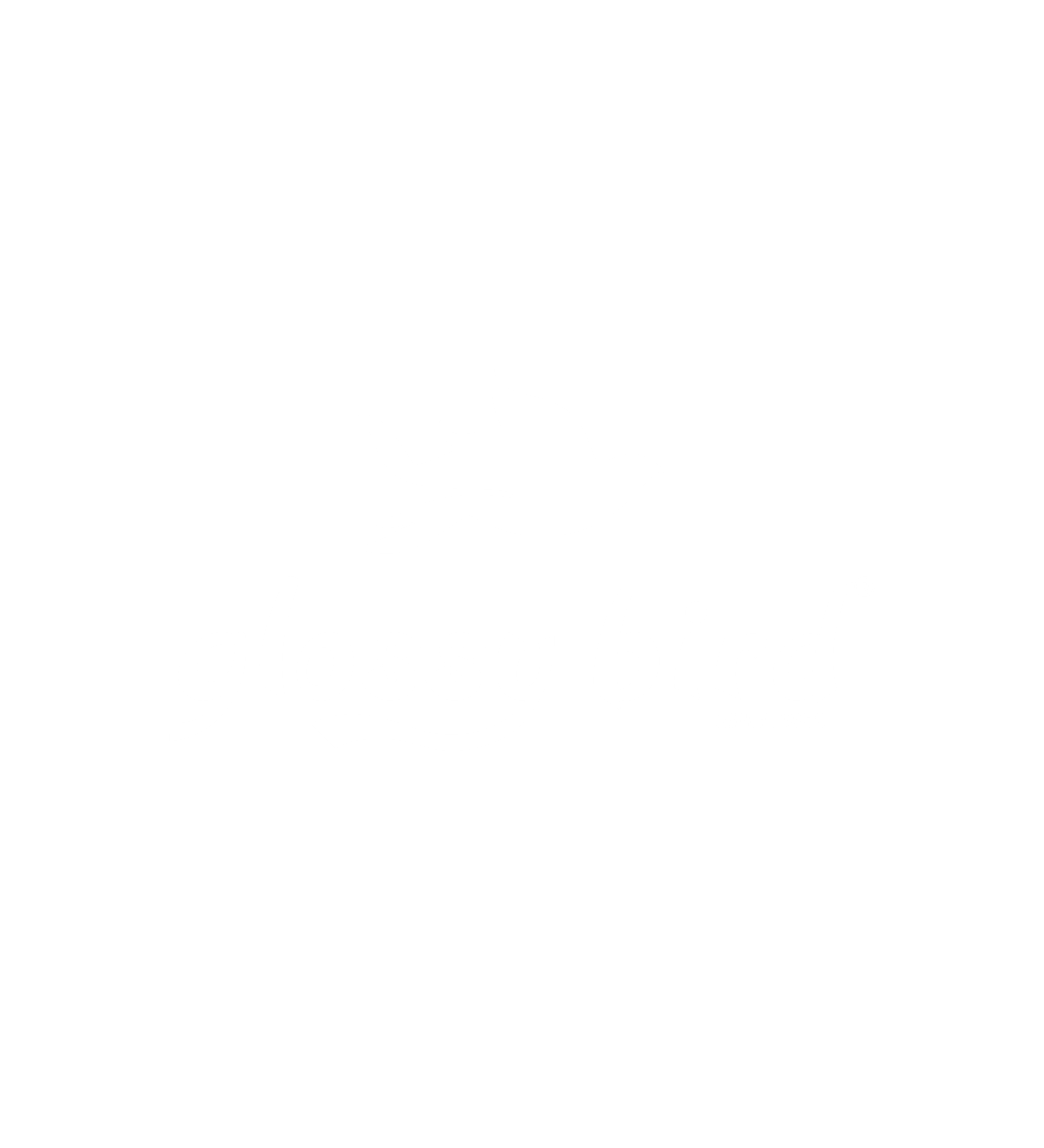 Glossy Bird
